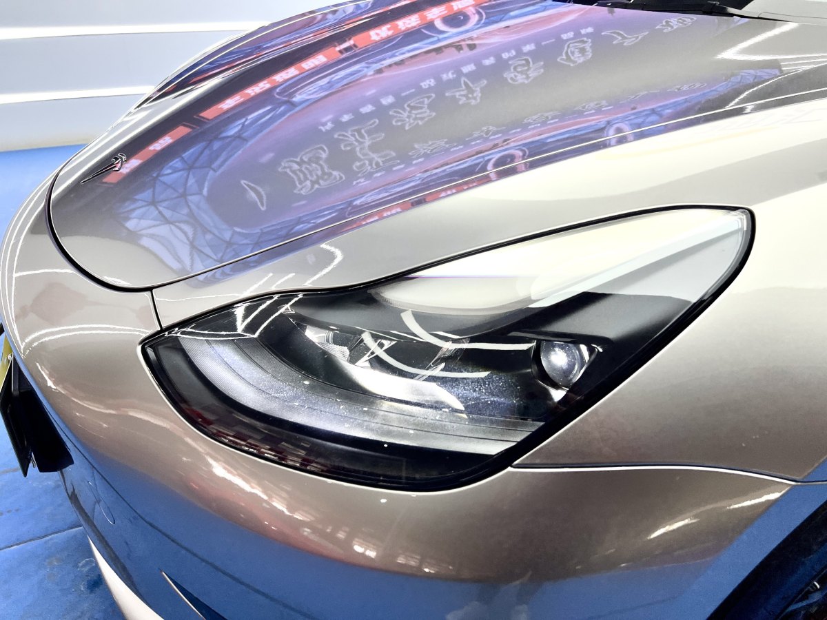 特斯拉 Model 3  2019款 標(biāo)準(zhǔn)續(xù)航后驅(qū)升級版圖片