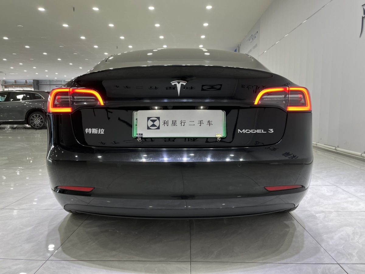 2022年1月特斯拉 Model 3  2021款 標(biāo)準(zhǔn)續(xù)航后驅(qū)升級(jí)版 3D6