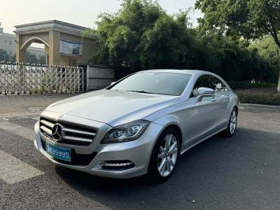 2013年2月 奔馳 奔馳CLS級(進口) CLS 300 CGI圖片