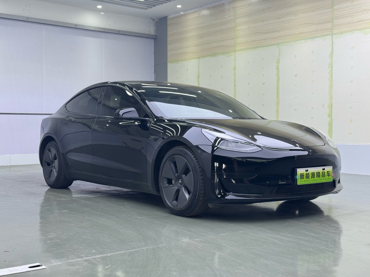 特斯拉 Model 3  2019款 標(biāo)準(zhǔn)續(xù)航后驅(qū)升級(jí)版圖片