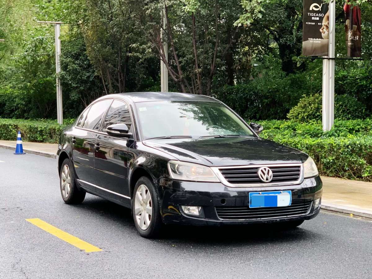 大眾 Passat領(lǐng)馭  2009款 2.0L MFI 手動尊享型圖片