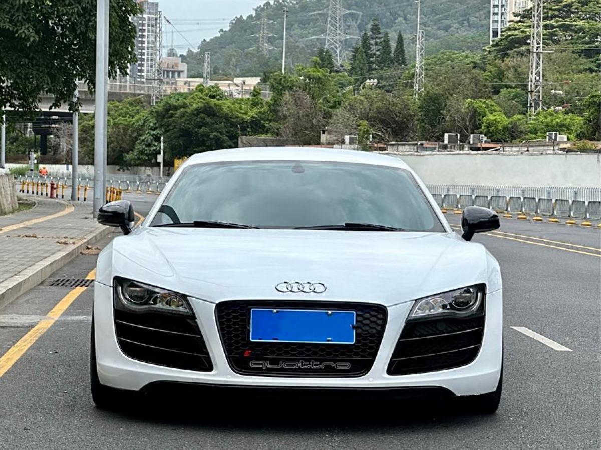 奧迪 奧迪R8  2012款 5.2 FSI quattro 限量版圖片