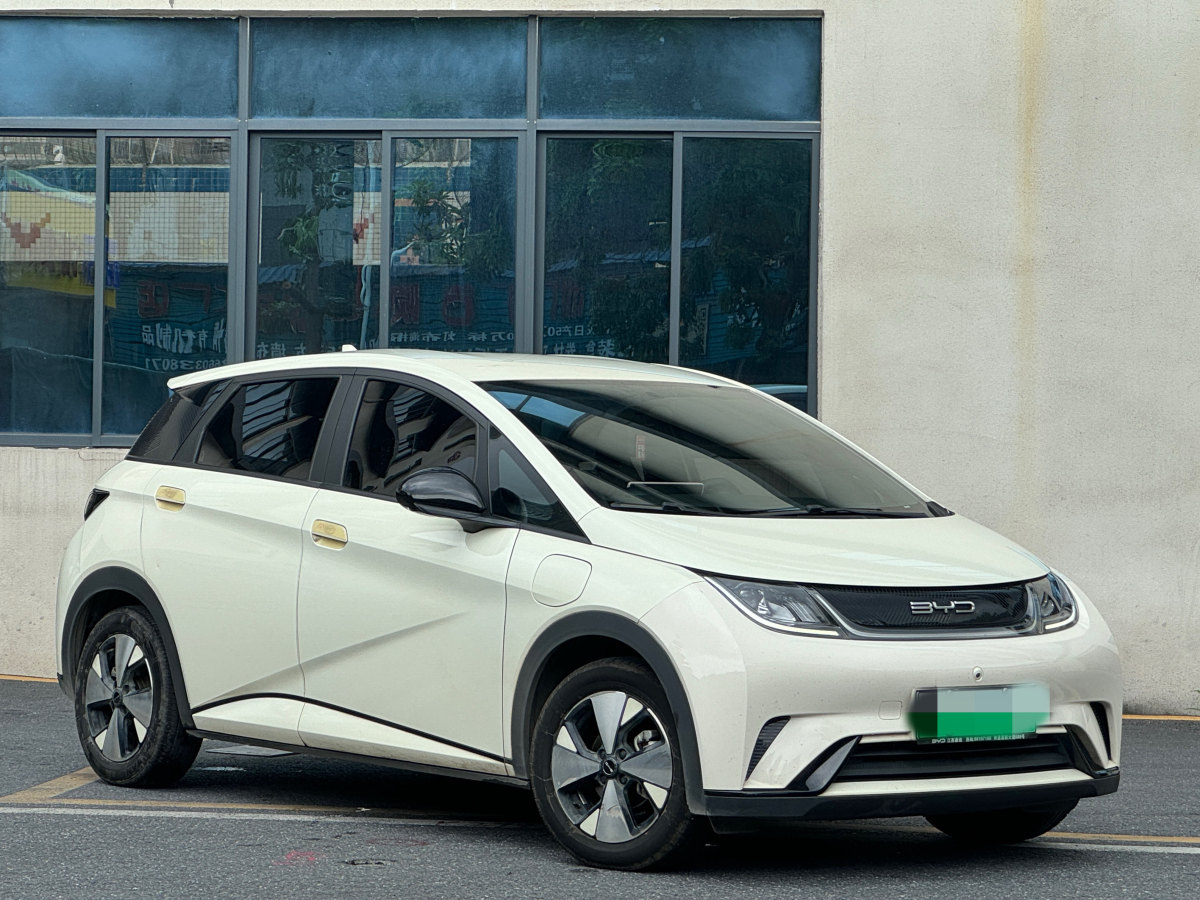 2023年6月比亞迪 海豚  2023款 420km 自由版