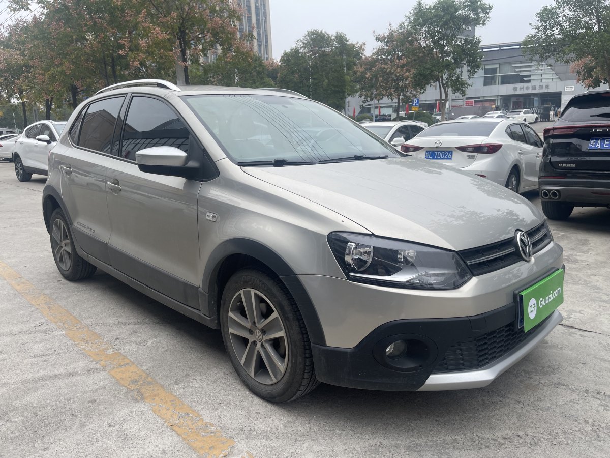 大眾 Polo  2012款 1.6L Cross Polo AT圖片