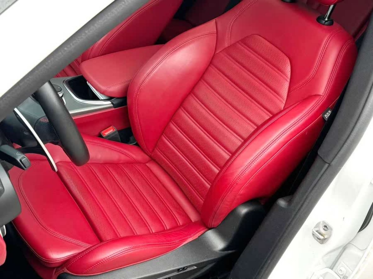 阿爾法·羅密歐 Stelvio  2020款 2.0T 280HP 豪華運(yùn)動(dòng)版圖片