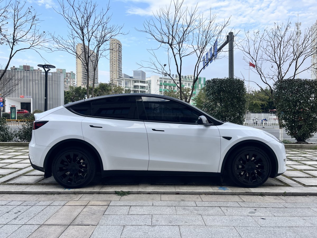 特斯拉 Model Y  2021款 長續(xù)航全輪驅(qū)動版 3D7圖片