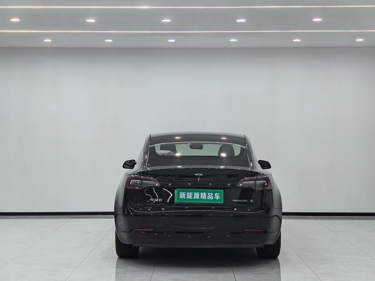 特斯拉 Model 3  2021款 改款 標(biāo)準(zhǔn)續(xù)航后驅(qū)升級(jí)版圖片