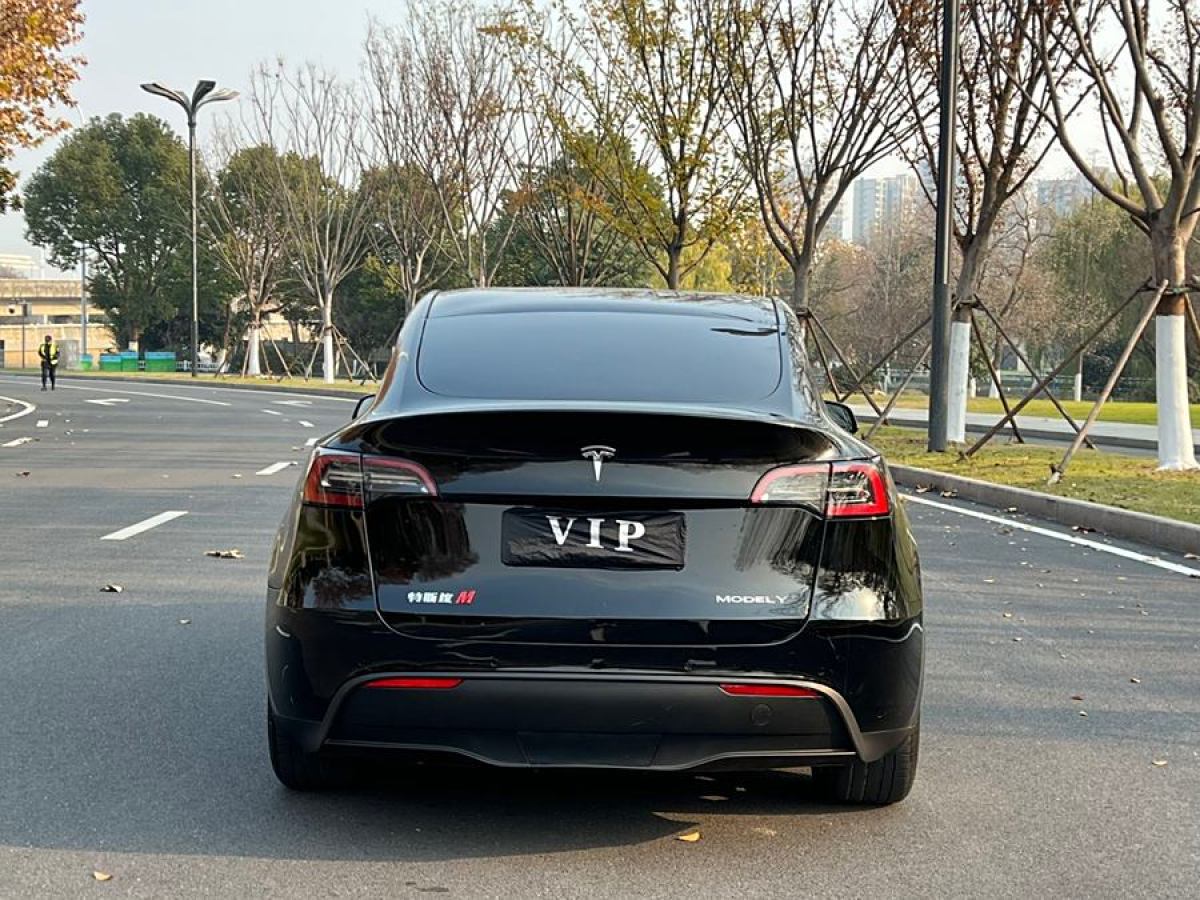 特斯拉 Model 3  2021款 改款 標(biāo)準(zhǔn)續(xù)航后驅(qū)升級(jí)版圖片