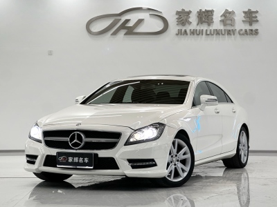 奔驰 奔驰CLS级(进口) CLS 300 CGI图片