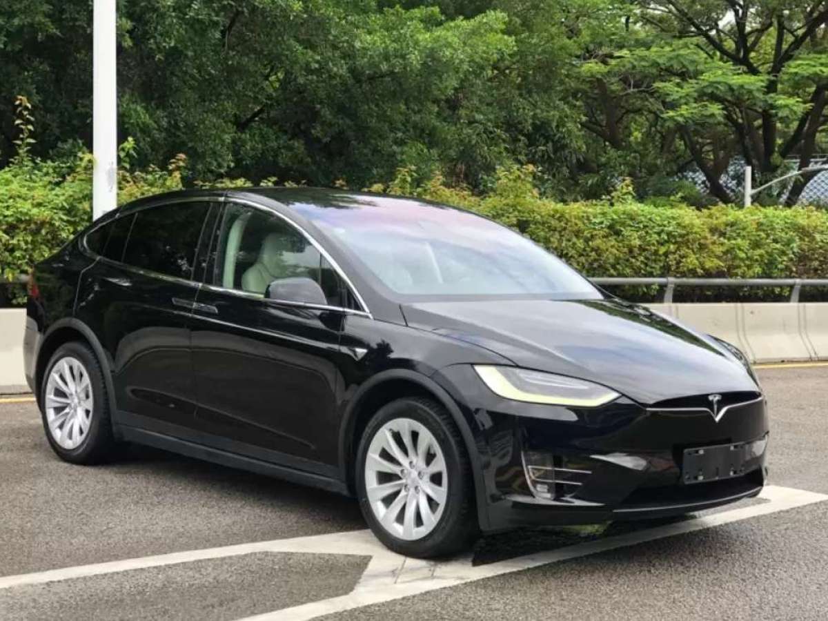 特斯拉 Model X  2017款 Model X 100D 长续航版图片