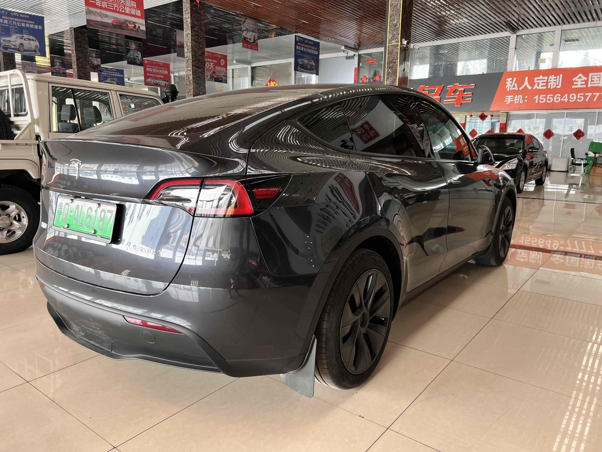 特斯拉 Model 3  2020款 改款 長(zhǎng)續(xù)航后輪驅(qū)動(dòng)版圖片