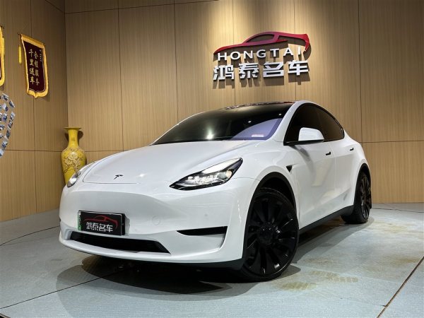 特斯拉 Model Y  2020款 改款 长续航后轮驱动版