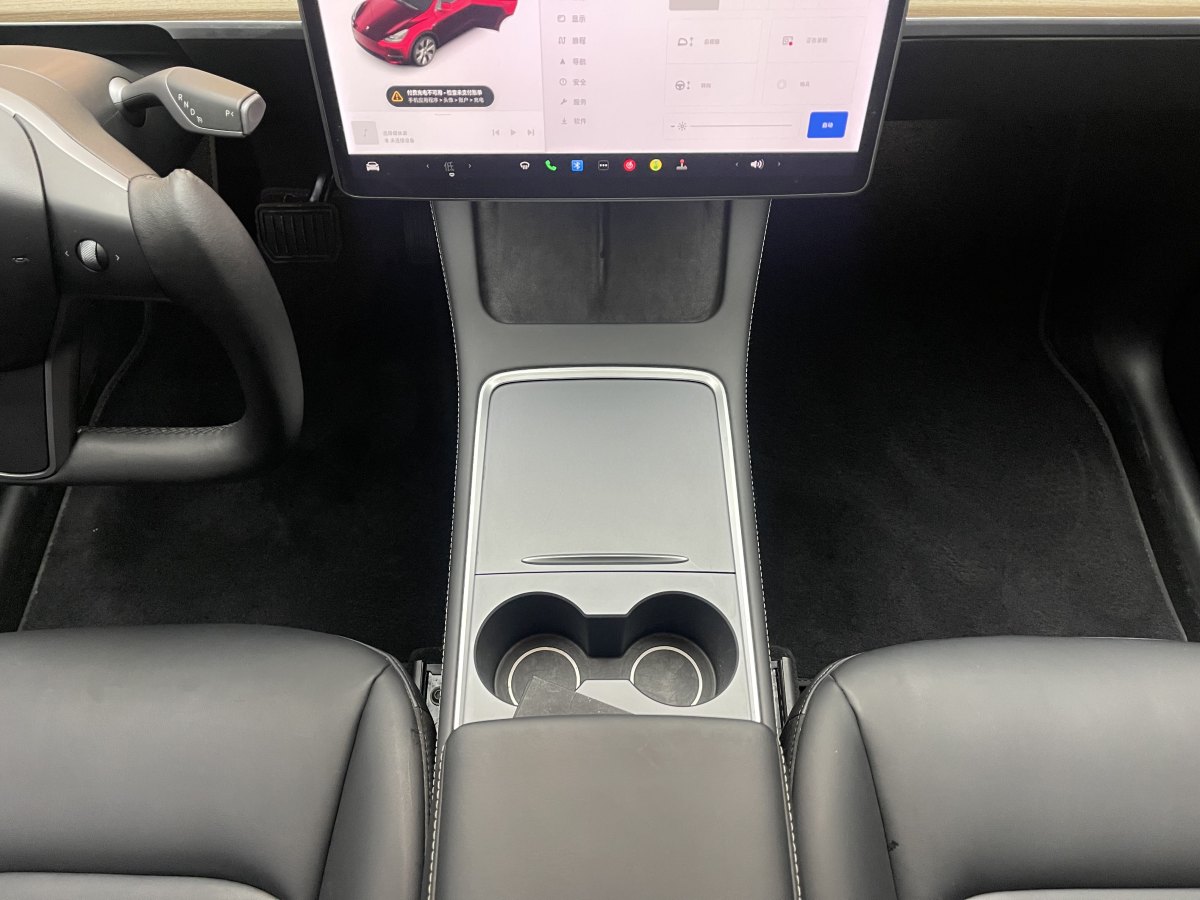 特斯拉 Model Y  2021款 標(biāo)準(zhǔn)續(xù)航后驅(qū)版圖片