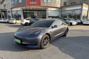 Model Y 特斯拉 改款 长续航后轮驱动版