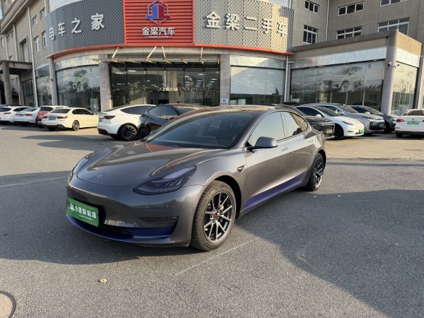 特斯拉 Model 3  2020款 改款 长续航后轮驱动版