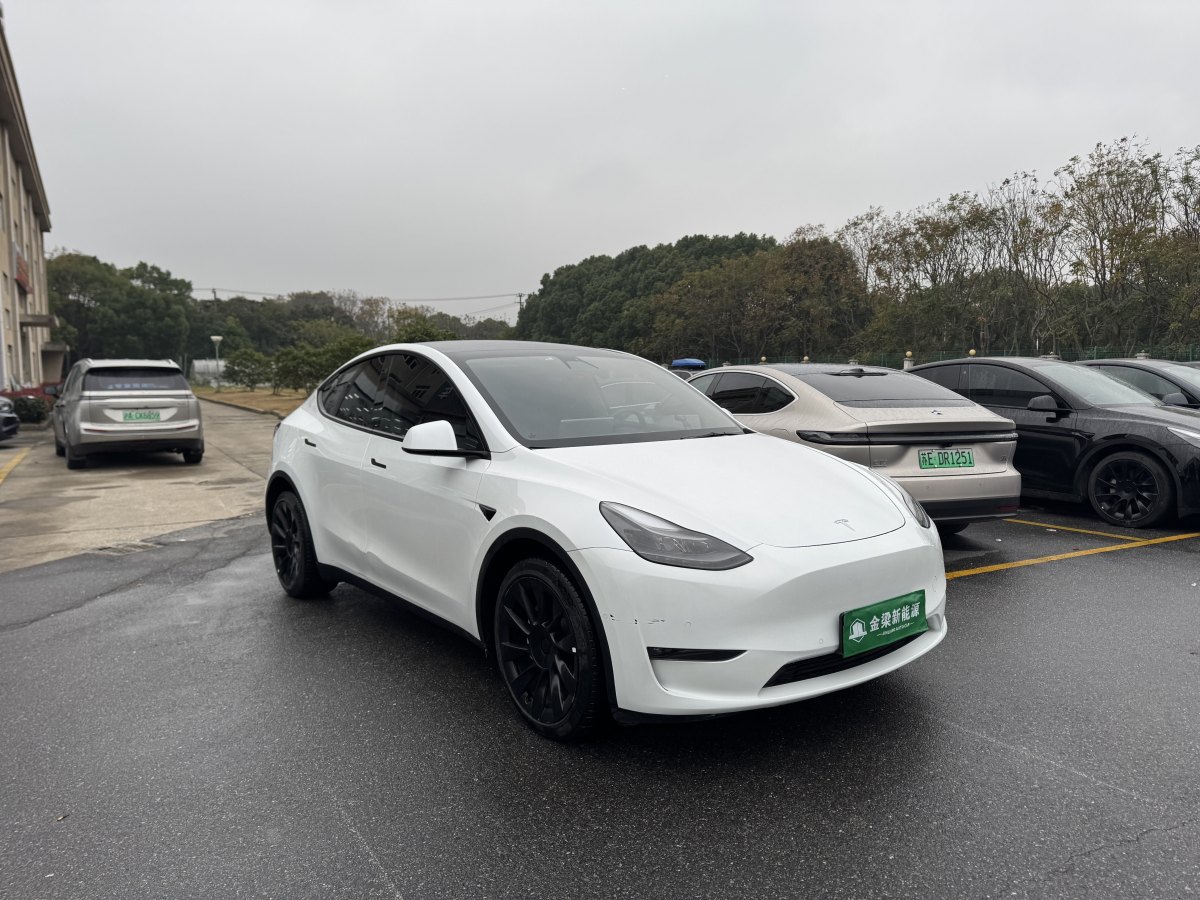 特斯拉 Model Y  2021款 長(zhǎng)續(xù)航全輪驅(qū)動(dòng)版 3D7圖片