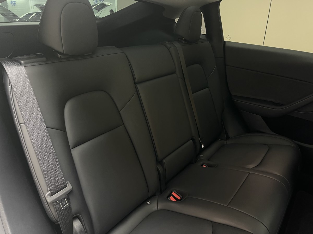 特斯拉 Model Y  2021款 標(biāo)準(zhǔn)續(xù)航后驅(qū)版圖片