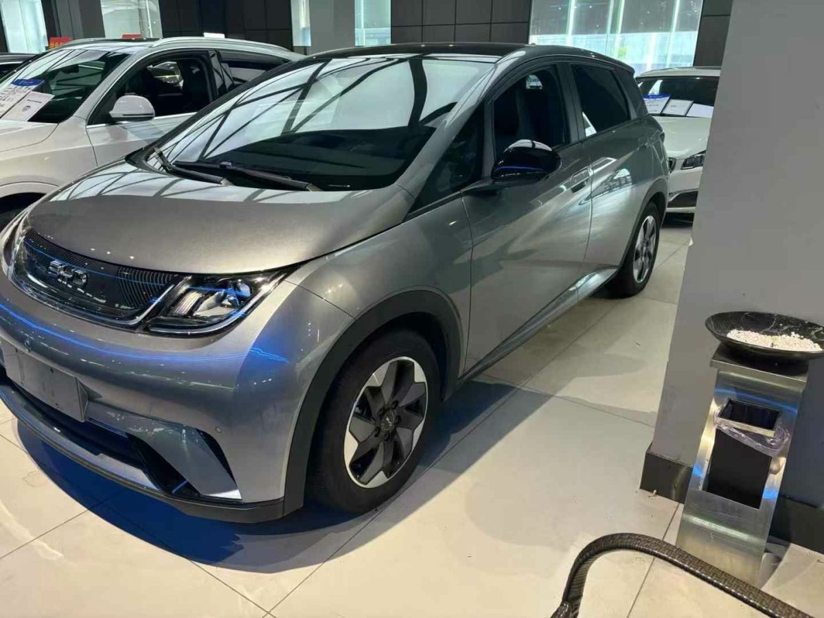 比亞迪 海豚  2024款 榮耀版 302km 活力版圖片