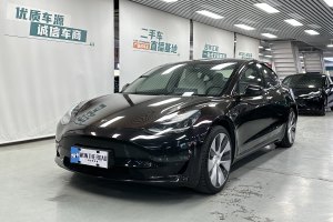 Model 3 特斯拉 Performance高性能全輪驅(qū)動版