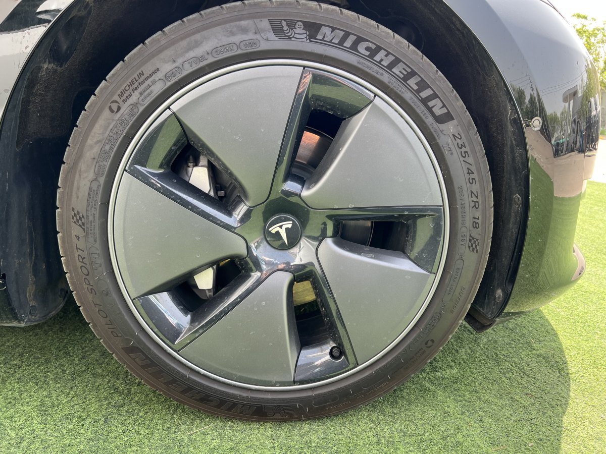 特斯拉 Model 3  2022款 后輪驅(qū)動(dòng)版圖片