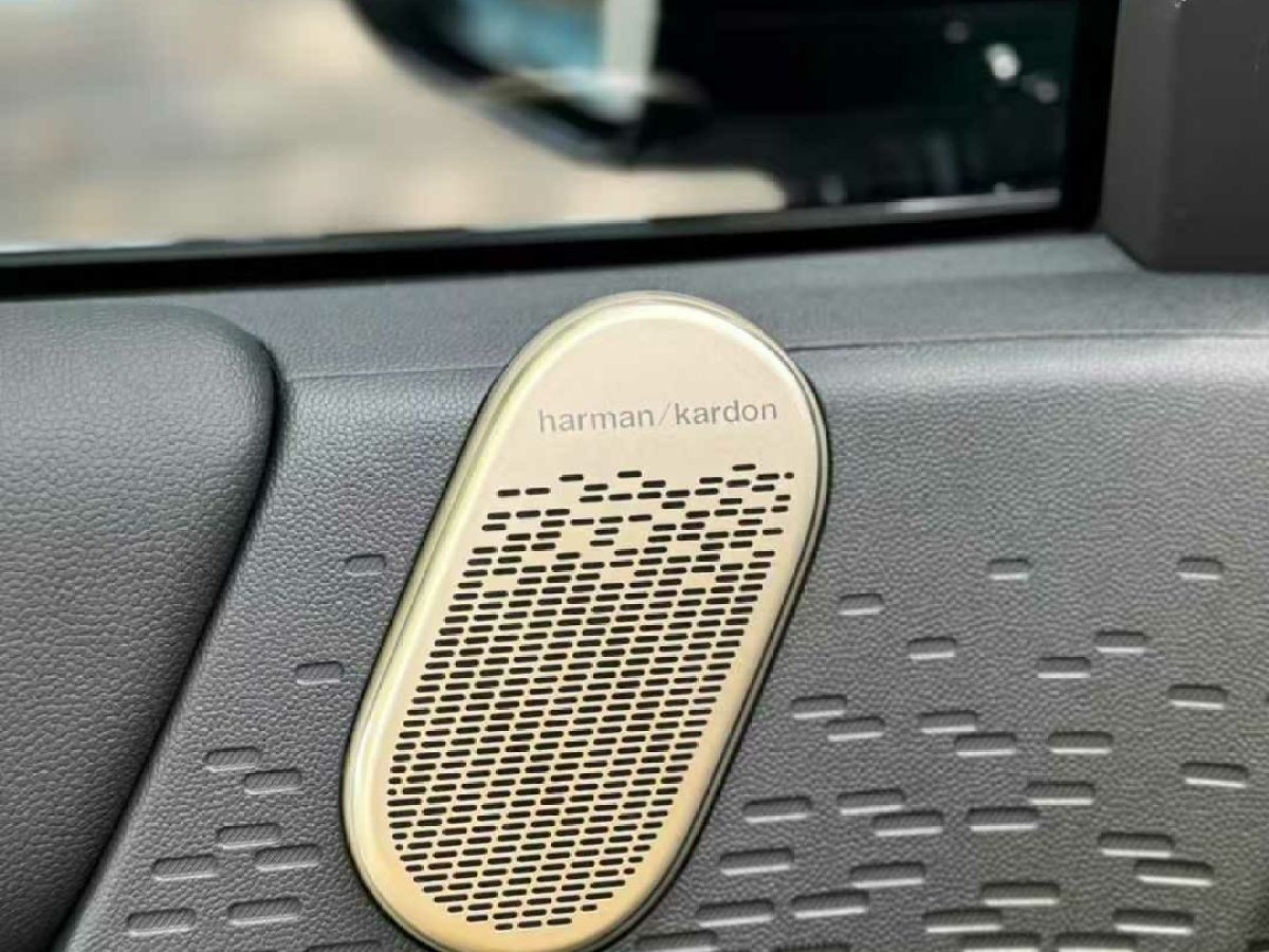 MINI 電動(dòng)MINI ACEMAN  2024款 E 大玩家圖片
