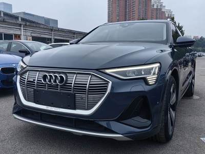 2022年1月 奧迪 奧迪e-tron(進(jìn)口) Sportback 55 quattro 臻選型圖片