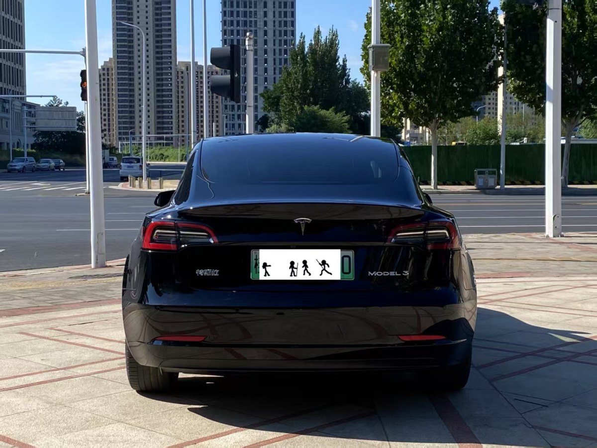 特斯拉 Model 3  2020款 改款 標(biāo)準(zhǔn)續(xù)航后驅(qū)升級(jí)版圖片