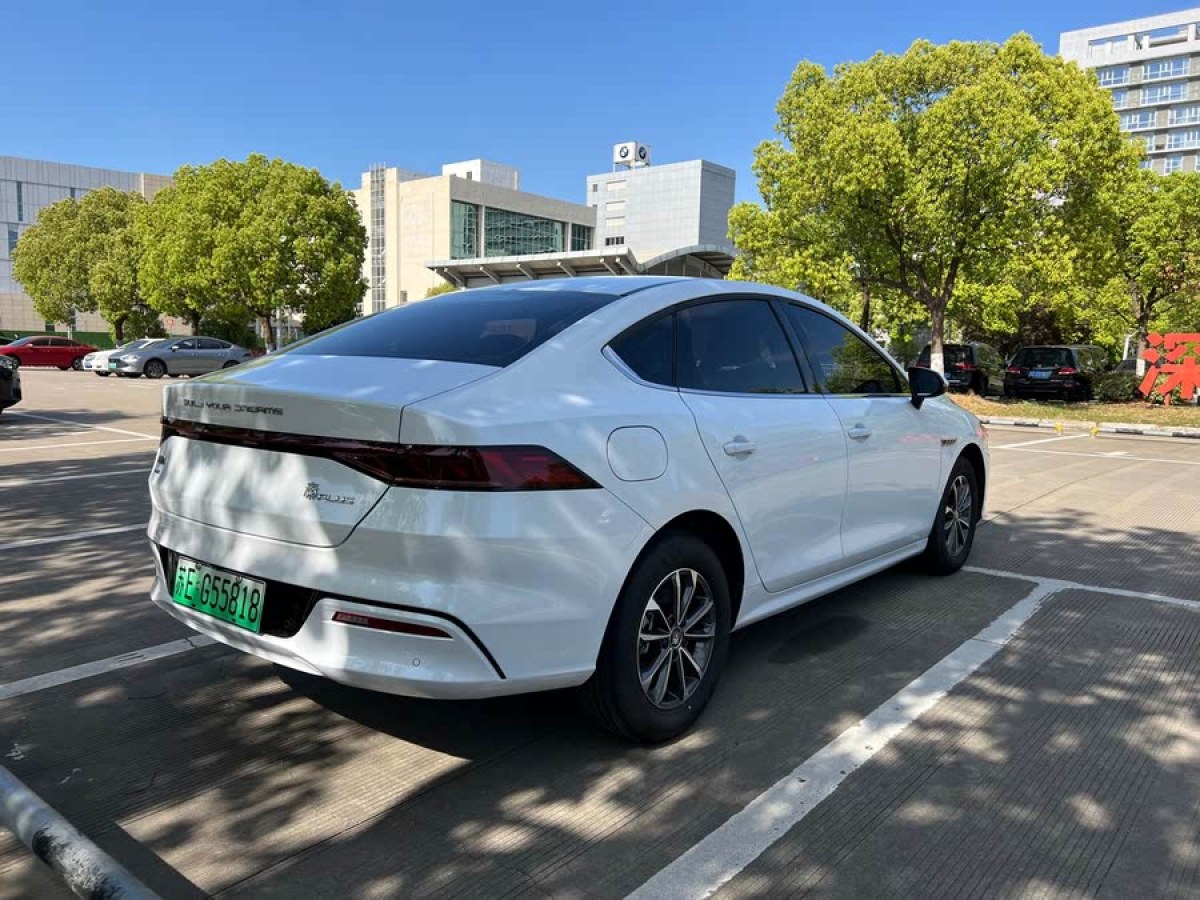 比亞迪 秦PLUS  2024款 榮耀版 DM-i 55KM領(lǐng)先型圖片