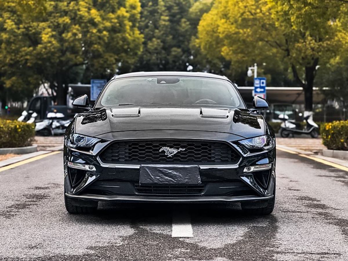 福特 Mustang  2020款 2.3L EcoBoost圖片