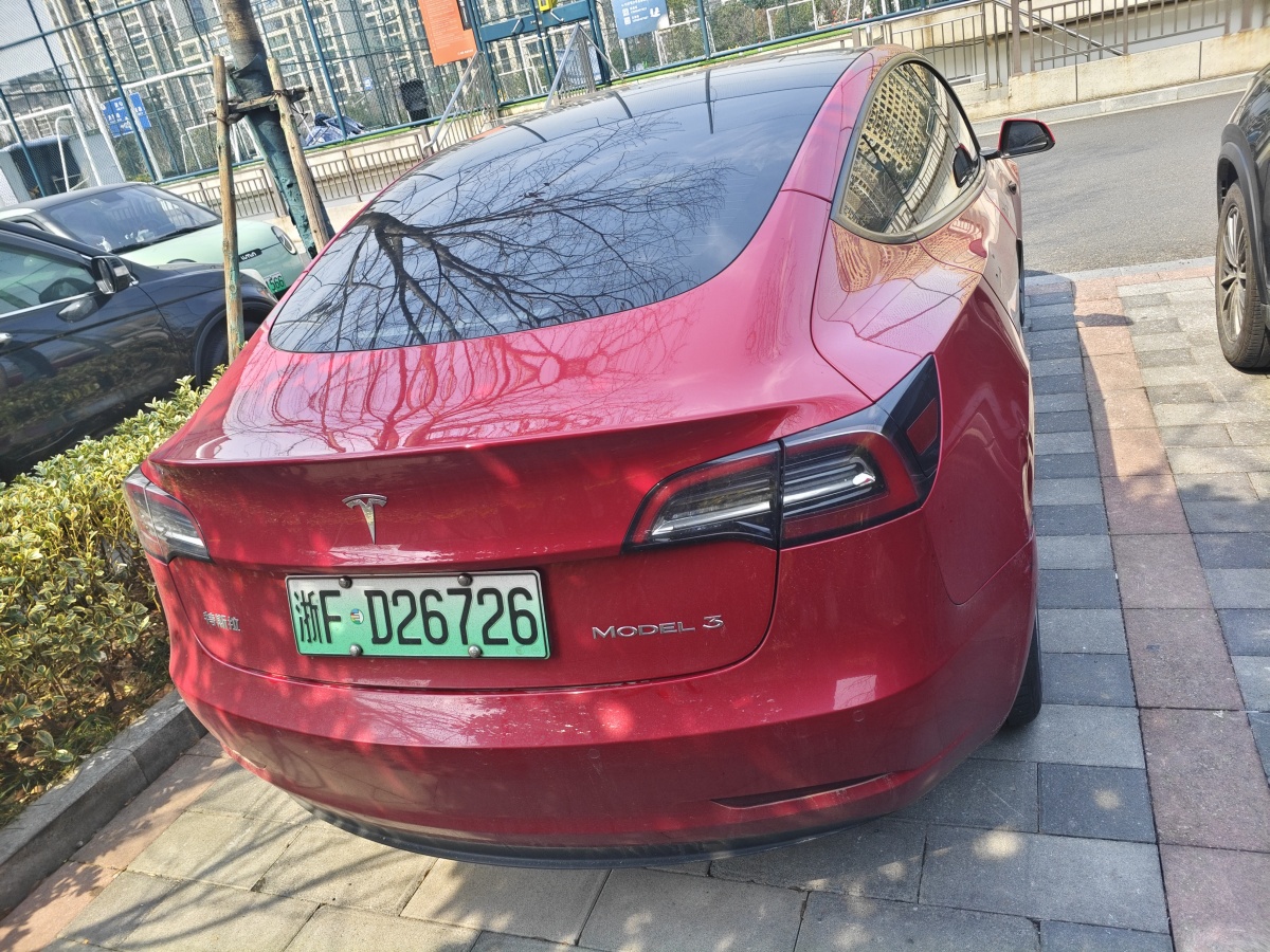 特斯拉 Model 3  2021款 標(biāo)準(zhǔn)續(xù)航后驅(qū)升級(jí)版 3D6圖片