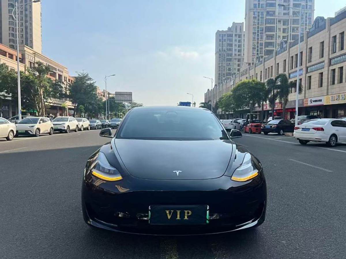 特斯拉 Model 3  2020款 改款 標準續(xù)航后驅(qū)升級版圖片