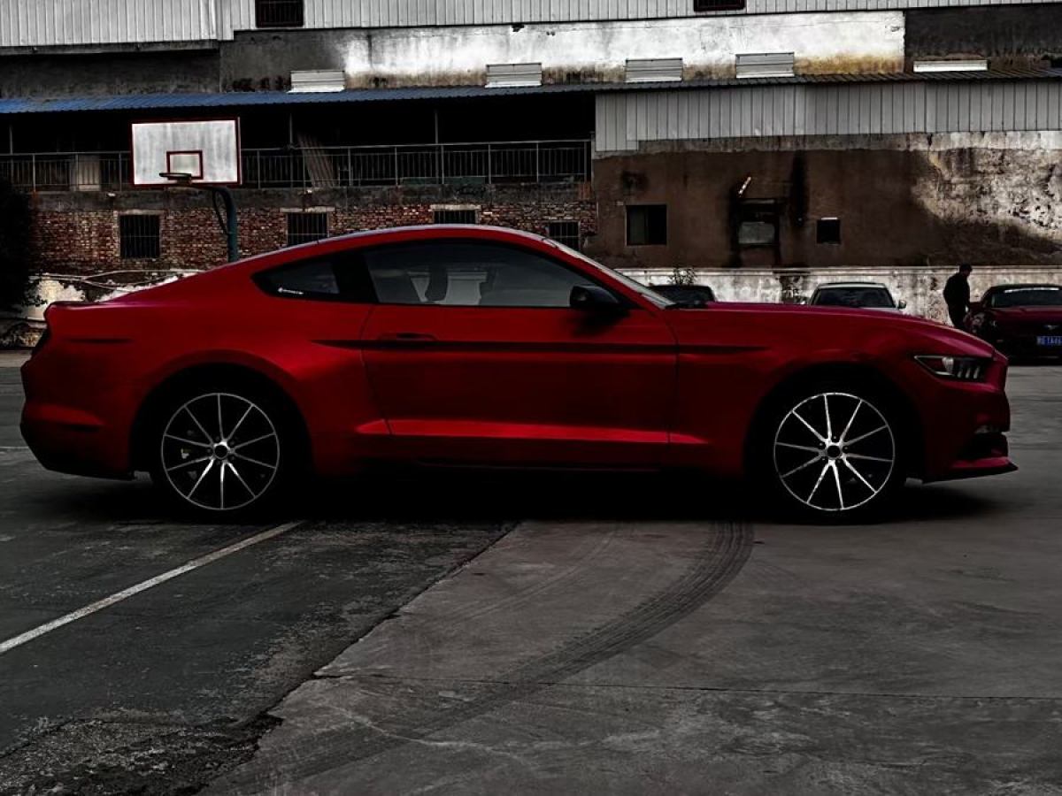 福特 Mustang  2016款 2.3T 性能版圖片