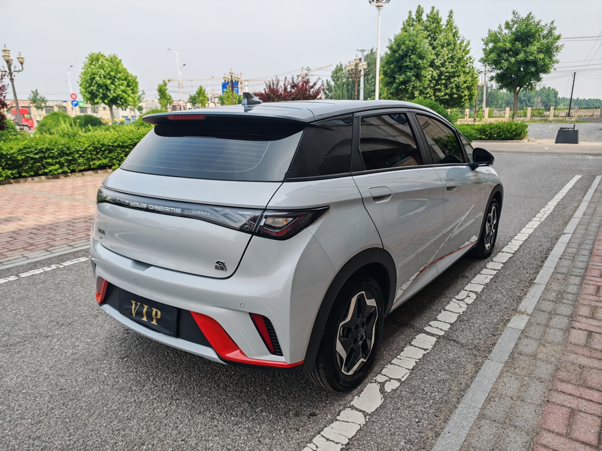 2022年2月比亞迪 海豚  2021款 405km 時(shí)尚版