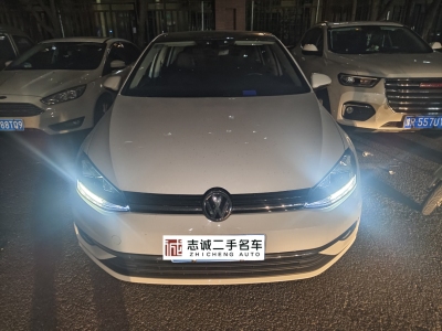 2020年5月 大众 高尔夫 280TSI DSG豪华型图片