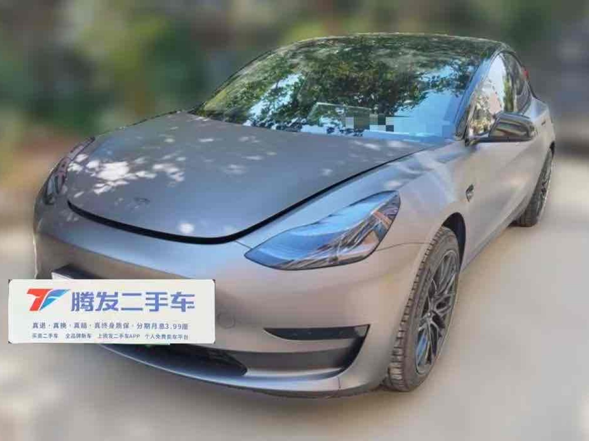 特斯拉 Model 3  2019款 標(biāo)準(zhǔn)續(xù)航后驅(qū)升級版圖片