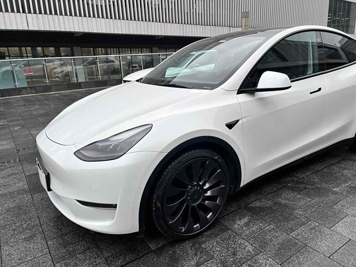 特斯拉 Model 3  2021款 改款 Performance高性能全輪驅(qū)動版圖片