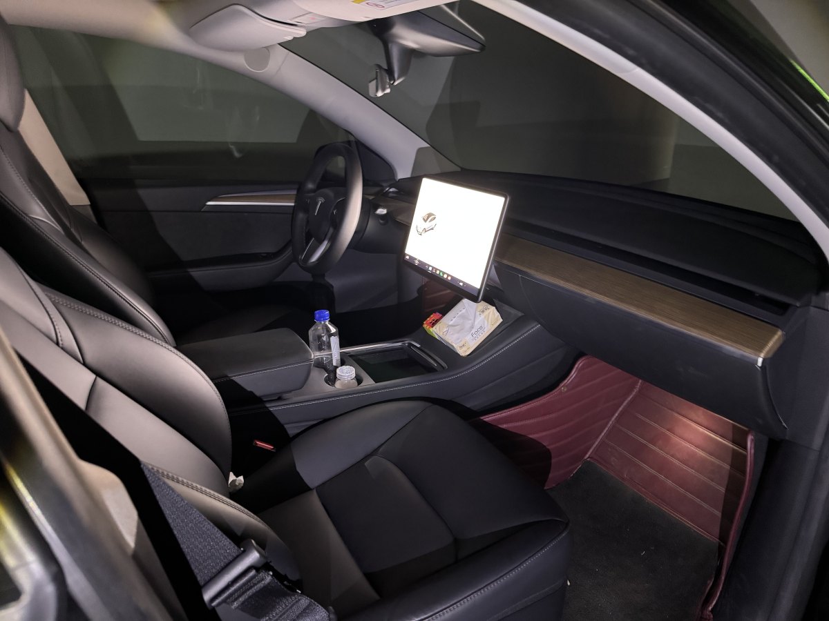 特斯拉 Model Y  2021款 標(biāo)準(zhǔn)續(xù)航后驅(qū)版圖片