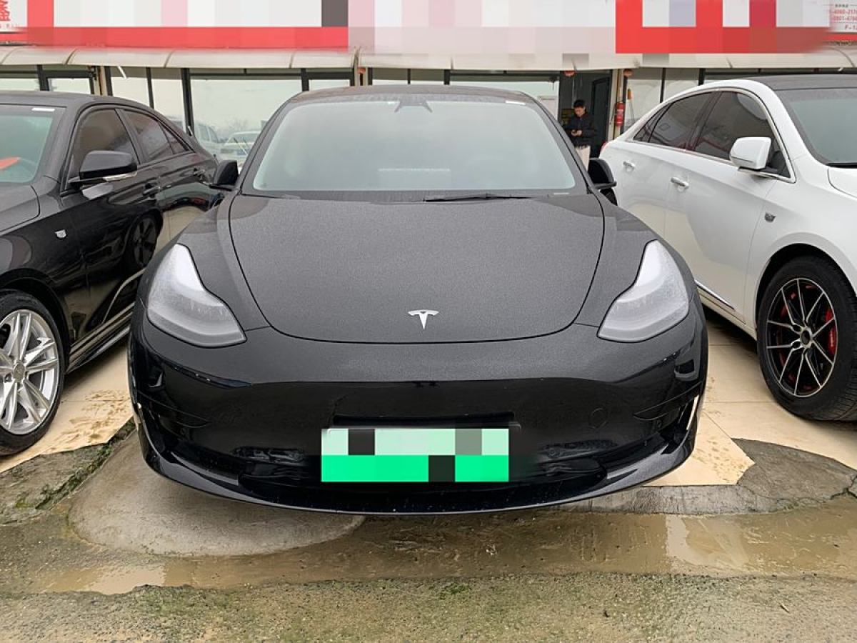 特斯拉 Model 3  2021款 改款 標(biāo)準(zhǔn)續(xù)航后驅(qū)升級版圖片