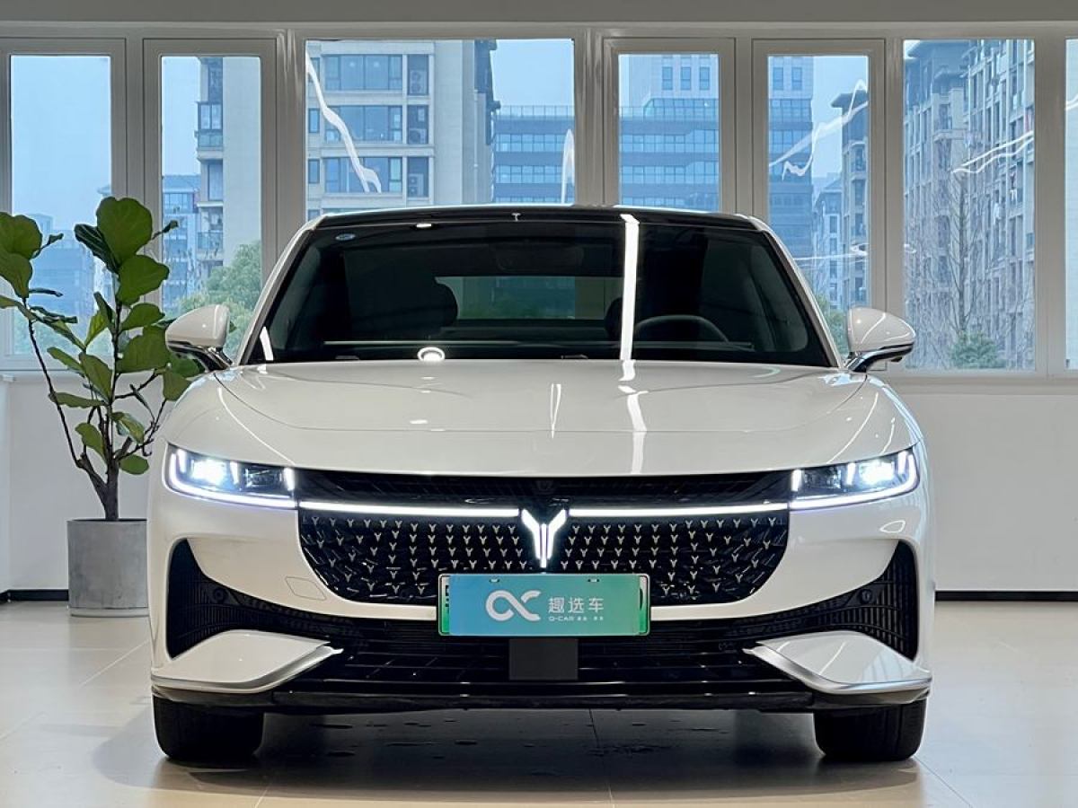 嵐圖 嵐圖追光  2024款 PHEV 四驅(qū)超長續(xù)航行政版圖片