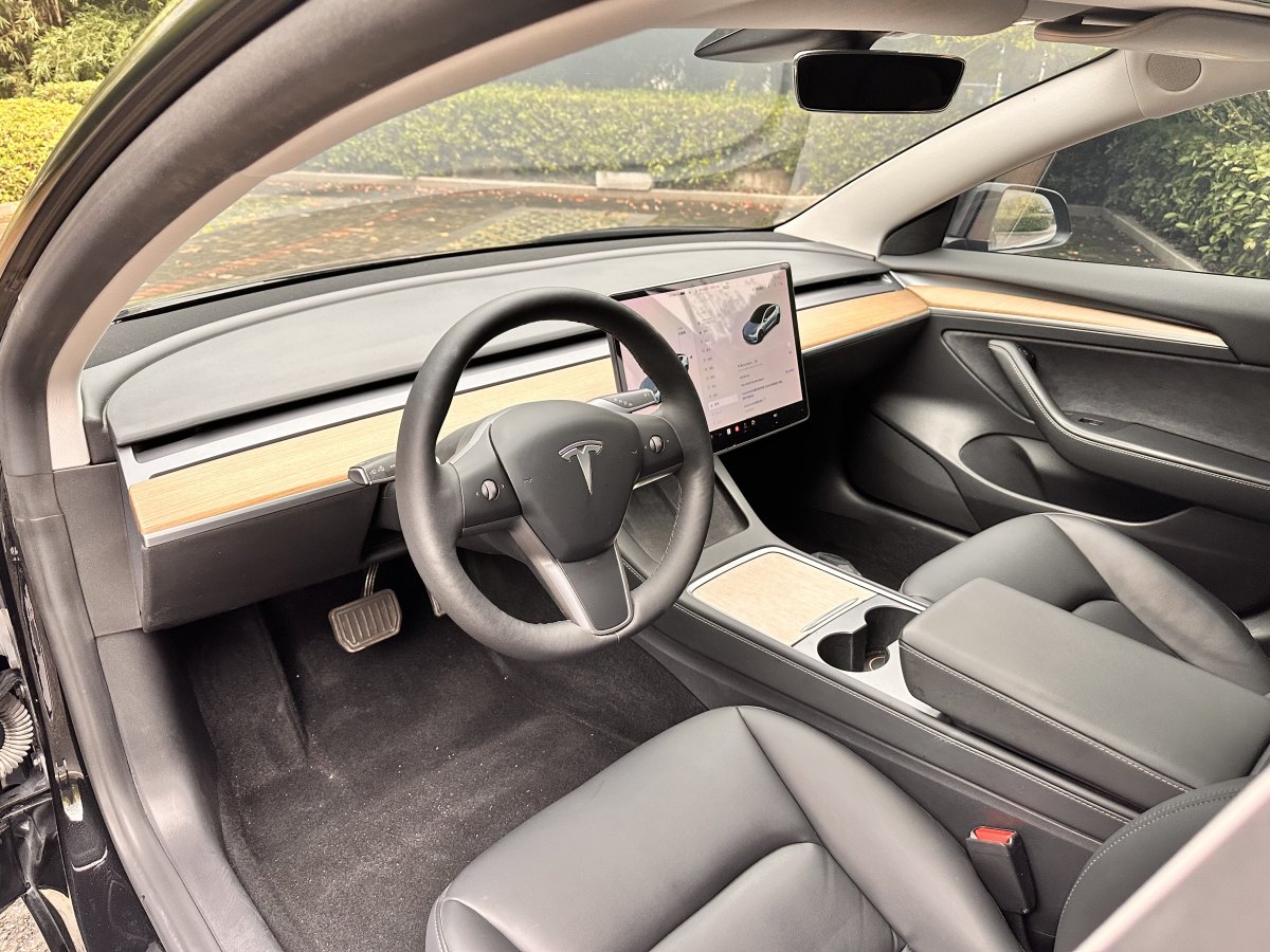 特斯拉 Model 3  2019款 標(biāo)準(zhǔn)續(xù)航后驅(qū)升級(jí)版圖片