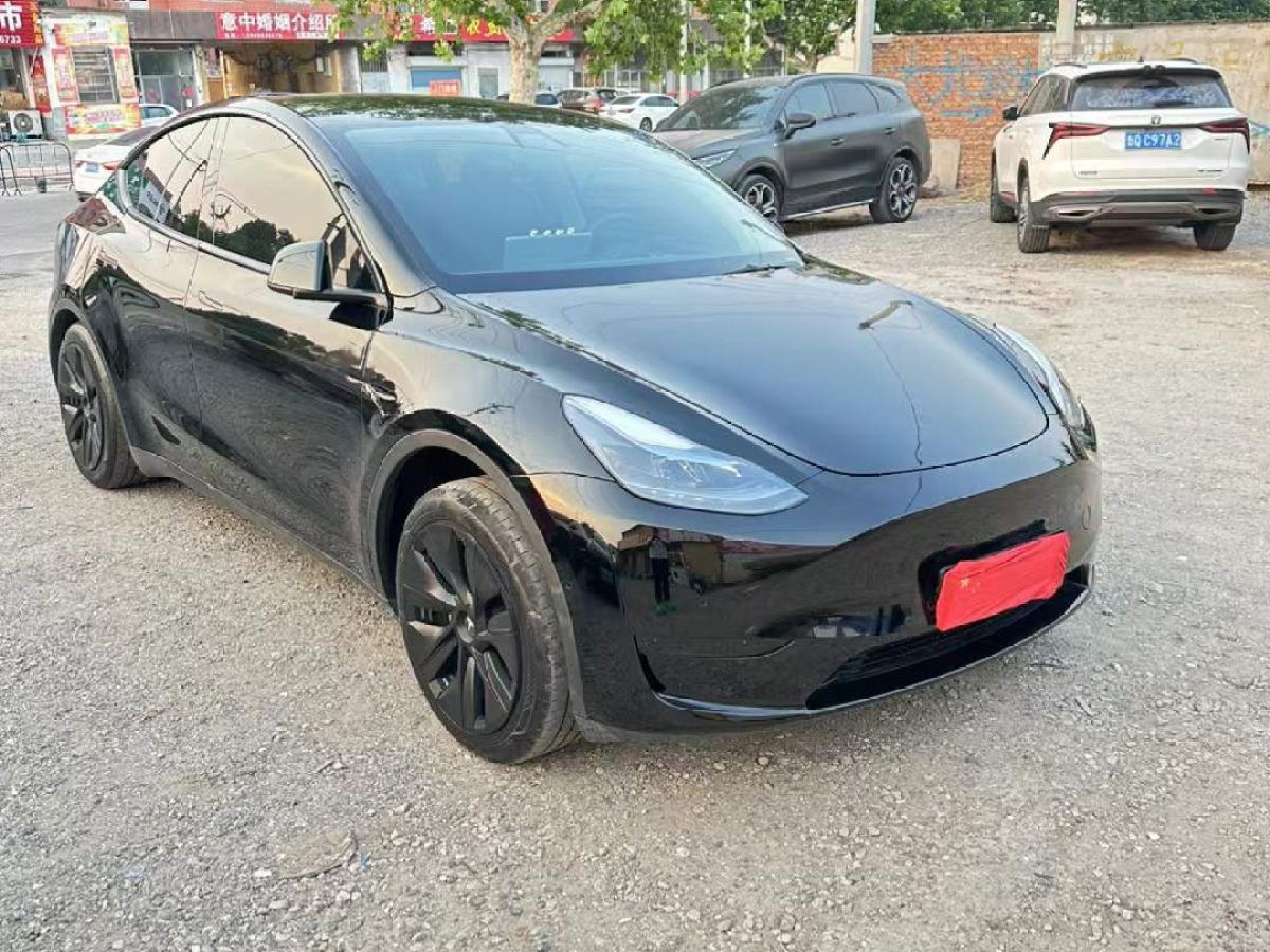 特斯拉 Model Y  2024款 Performance高性能版圖片