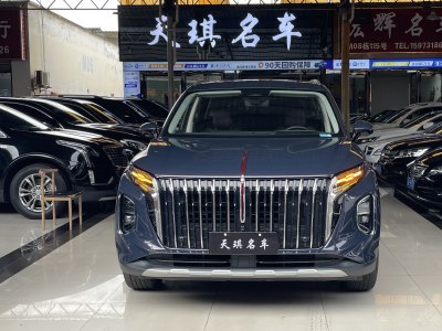 2023年9月 红旗 HS7 2.0T 自动四驱旗领版 六座图片