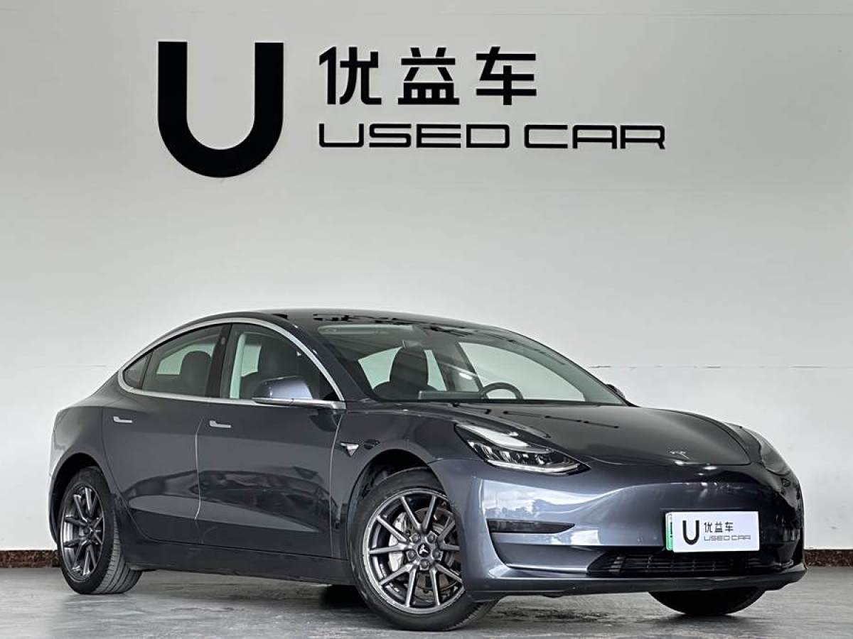 特斯拉 Model 3  2019款 長續(xù)航后驅(qū)版圖片