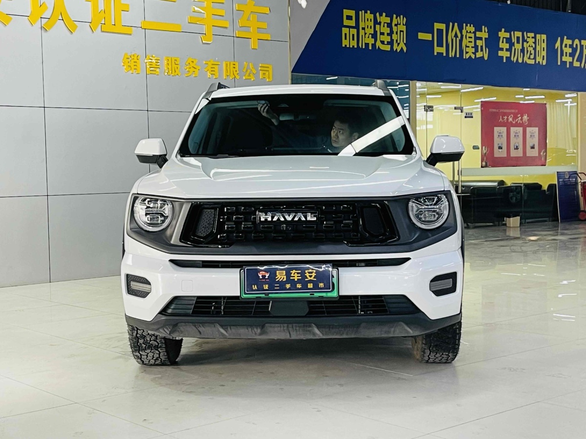 2023年4月哈弗 哈弗二代大狗新能源  2023款 DHT-PHEV 105km 潮電版Plus