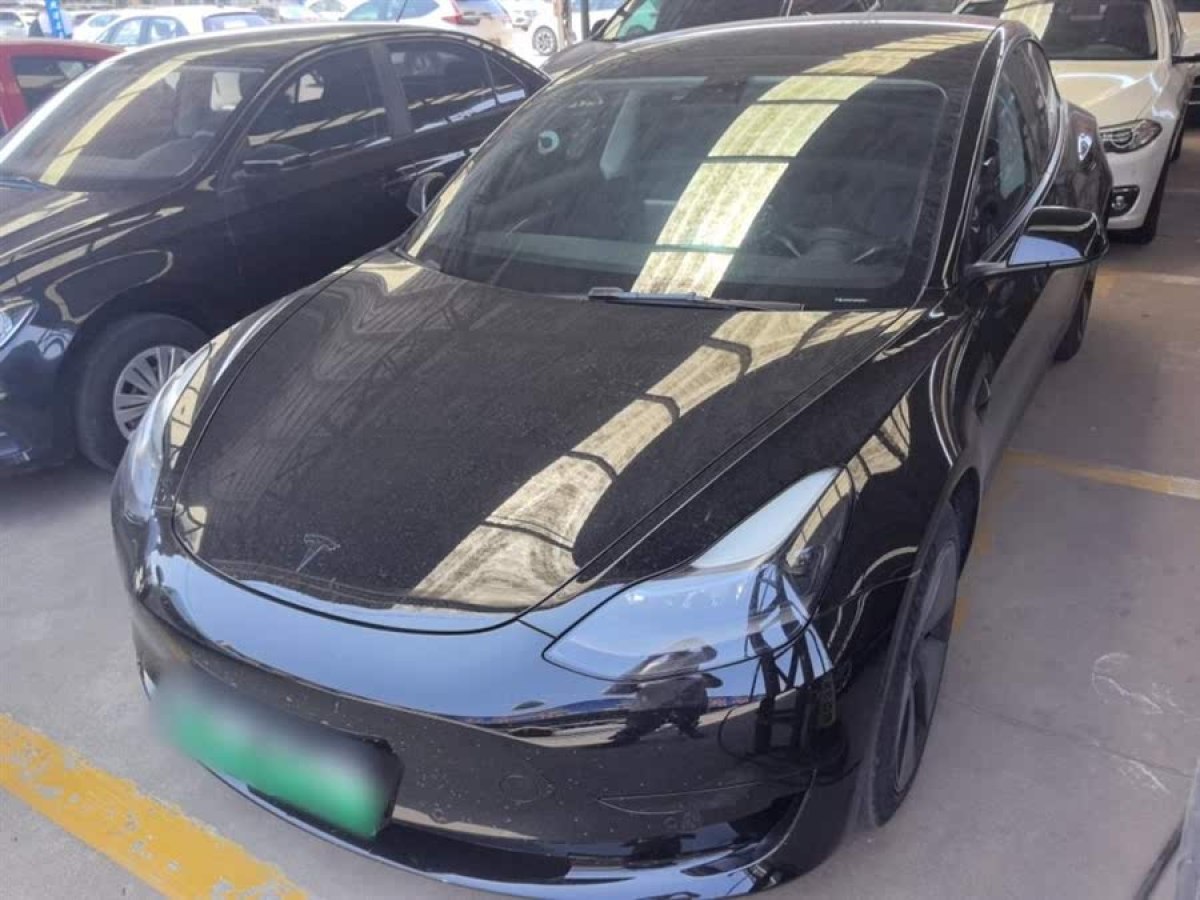 特斯拉 Model 3  2021款 標準續(xù)航后驅升級版 3D6圖片