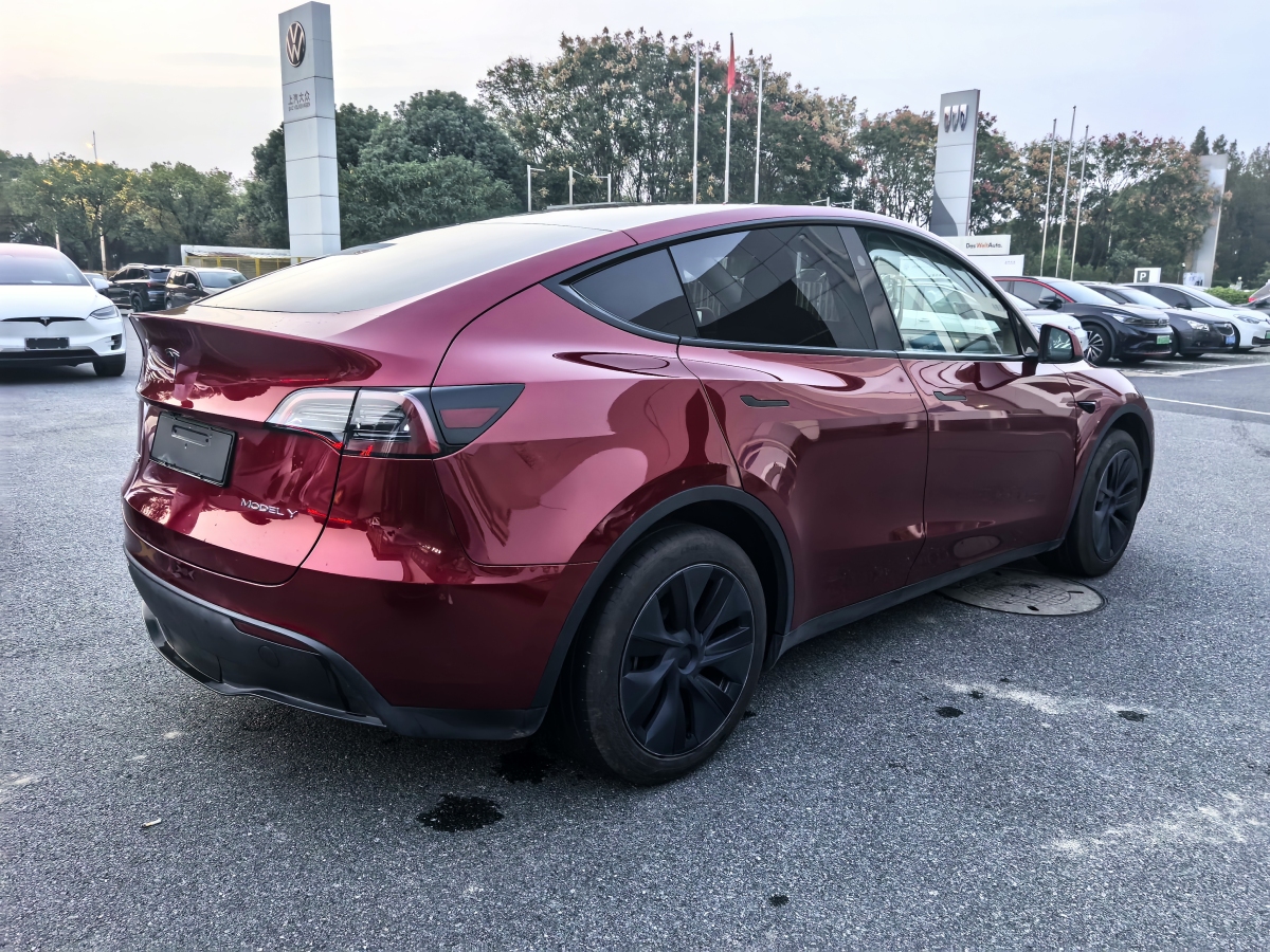 2024年3月特斯拉 Model Y  2020款 改款 長續(xù)航后輪驅動版