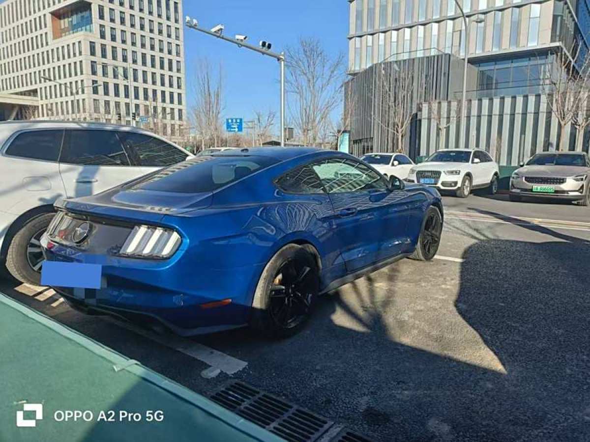 福特 Mustang  2015款 2.3T 性能版圖片