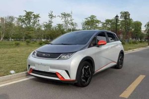 海豚 比亞迪 405km 時尚版