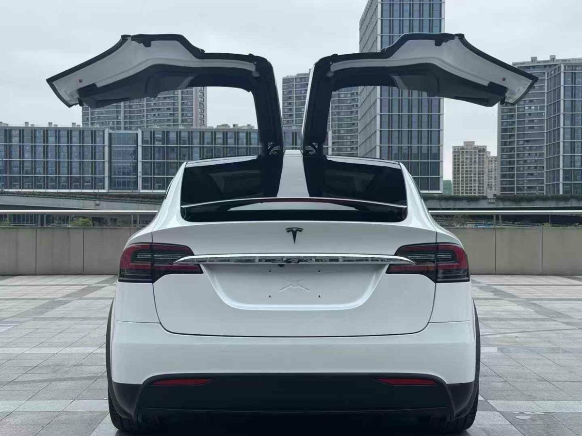 特斯拉 Model X  2019款 Performance 高性能版圖片