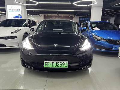 2020年8月 特斯拉 Model Y 改款 標(biāo)準(zhǔn)續(xù)航后驅(qū)升級版圖片